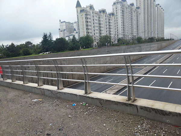 ����ֻ���